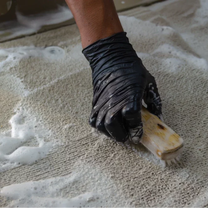 cleaning carpet Carpet cleaning | Best Buy Interior Finishes